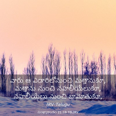 Picture 03 - సంఖ్యాకాండం 21:19 TELIRV - వారు ఆ - Bible Verse Picture