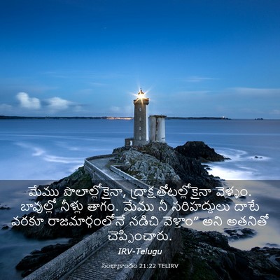 Picture 03 - సంఖ్యాకాండం 21:22 TELIRV - మేము - Bible Verse Picture