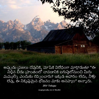 Picture 03 - సంఖ్యాకాండం 21:5 TELIRV - అప్పుడు ప్రజలు - Bible Verse Picture