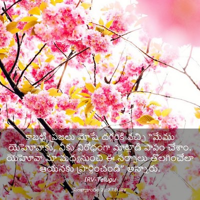 Picture 03 - సంఖ్యాకాండం 21:7 TELIRV - కాబట్టి ప్రజలు - Bible Verse Picture