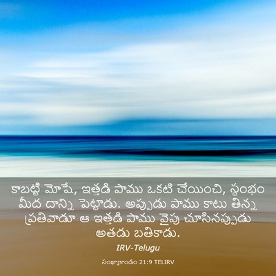 Picture 03 - సంఖ్యాకాండం 21:9 TELIRV - కాబట్టి మోషే, - Bible Verse Picture