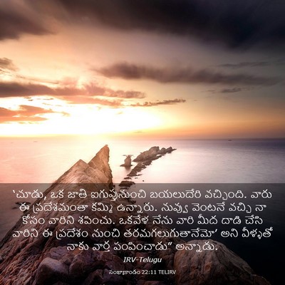 Picture 03 - సంఖ్యాకాండం 22:11 TELIRV - ‘చూడు, ఒక జాతి - Bible Verse Picture