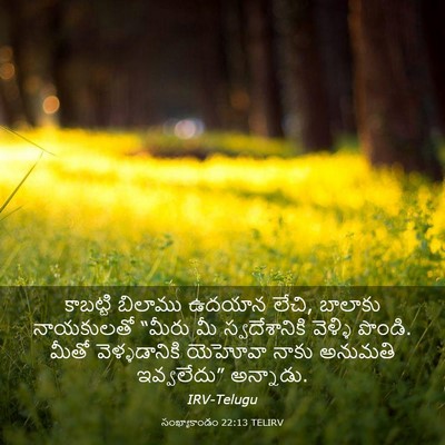 Picture 03 - సంఖ్యాకాండం 22:13 TELIRV - కాబట్టి బిలాము - Bible Verse Picture