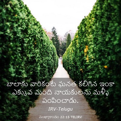 Picture 03 - సంఖ్యాకాండం 22:15 TELIRV - బాలాకు వారికంటే - Bible Verse Picture