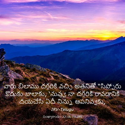 Picture 03 - సంఖ్యాకాండం 22:16 TELIRV - వారు బిలాము - Bible Verse Picture