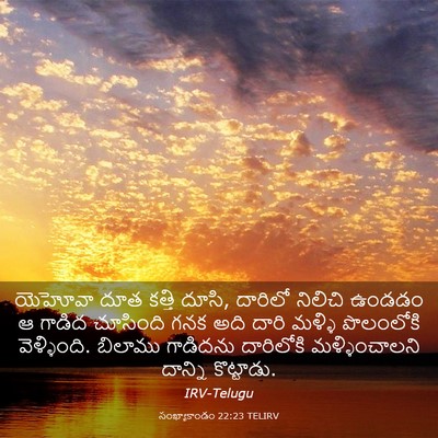 Picture 03 - సంఖ్యాకాండం 22:23 TELIRV - యెహోవా దూత కత్తి - Bible Verse Picture