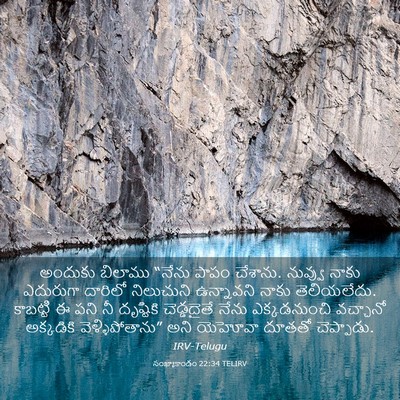 Picture 03 - సంఖ్యాకాండం 22:34 TELIRV - అందుకు బిలాము - Bible Verse Picture