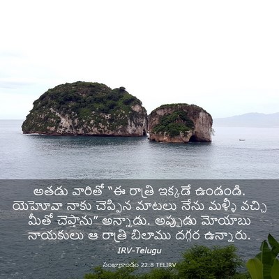 Picture 03 - సంఖ్యాకాండం 22:8 TELIRV - అతడు వారితో “ఈ - Bible Verse Picture