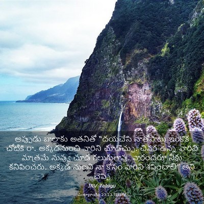 Picture 03 - సంఖ్యాకాండం 23:13 TELIRV - అప్పుడు బాలాకు - Bible Verse Picture