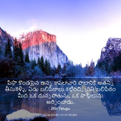 Picture 03 - సంఖ్యాకాండం 23:14 TELIRV - పిస్గా కొండపైన - Bible Verse Picture