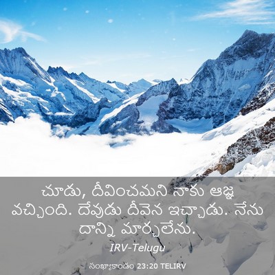 Picture 03 - సంఖ్యాకాండం 23:20 TELIRV - చూడు, దీవించమని - Bible Verse Picture