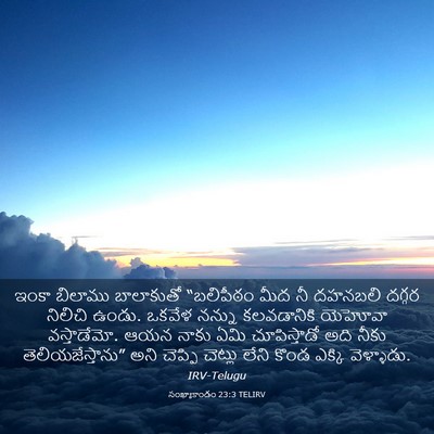Picture 03 - సంఖ్యాకాండం 23:3 TELIRV - ఇంకా బిలాము - Bible Verse Picture