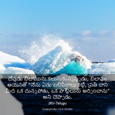 Picture 03 - సంఖ్యాకాండం 23:4 TELIRV - దేవుడు బిలామును - Bible Verse Picture