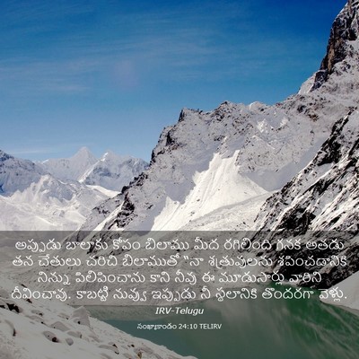 Picture 03 - సంఖ్యాకాండం 24:10 TELIRV - అప్పుడు బాలాకు - Bible Verse Picture