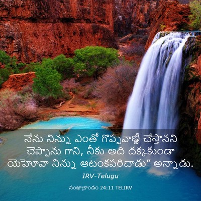 Picture 03 - సంఖ్యాకాండం 24:11 TELIRV - నేను నిన్ను ఎంతో - Bible Verse Picture