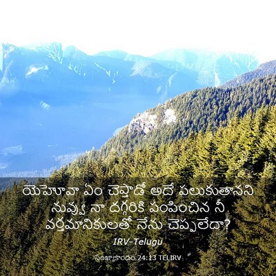 Picture 03 - సంఖ్యాకాండం 24:13 TELIRV - యెహోవా ఏం - Bible Verse Picture