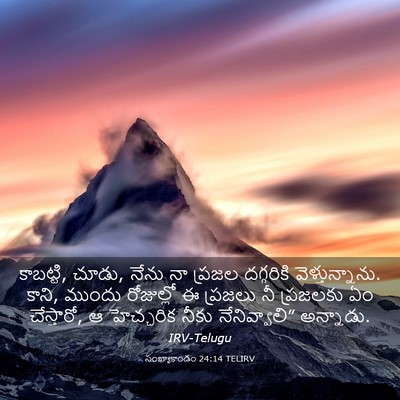 Picture 03 - సంఖ్యాకాండం 24:14 TELIRV - కాబట్టి, చూడు, నేను - Bible Verse Picture