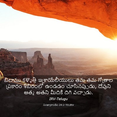Picture 03 - సంఖ్యాకాండం 24:2 TELIRV - బిలాము కళ్ళెత్తి - Bible Verse Picture