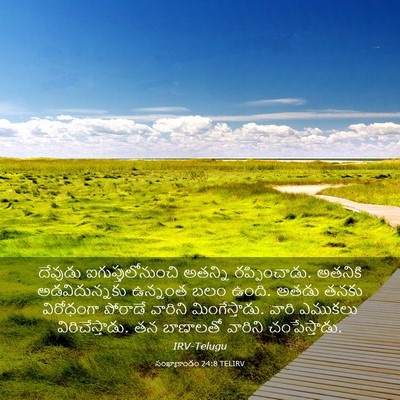Picture 03 - సంఖ్యాకాండం 24:8 TELIRV - దేవుడు - Bible Verse Picture