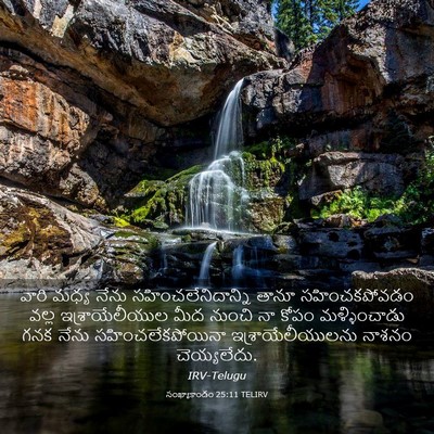 Picture 03 - సంఖ్యాకాండం 25:11 TELIRV - వారి మధ్య నేను - Bible Verse Picture