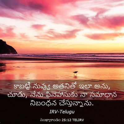 Picture 03 - సంఖ్యాకాండం 25:12 TELIRV - కాబట్టి నువ్వు - Bible Verse Picture