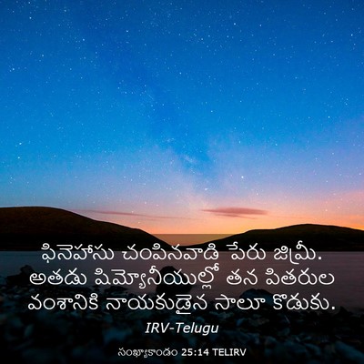 Picture 03 - సంఖ్యాకాండం 25:14 TELIRV - ఫినెహాసు - Bible Verse Picture