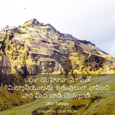 Picture 03 - సంఖ్యాకాండం 25:16 TELIRV - ఇంకా యెహోవా - Bible Verse Picture