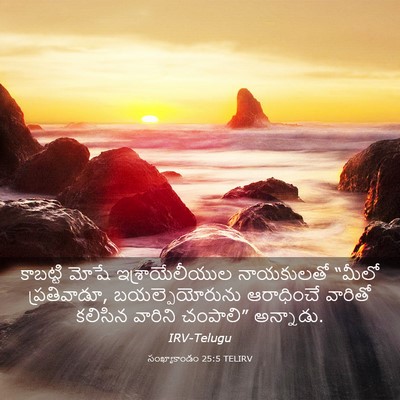 Picture 03 - సంఖ్యాకాండం 25:5 TELIRV - కాబట్టి మోషే - Bible Verse Picture