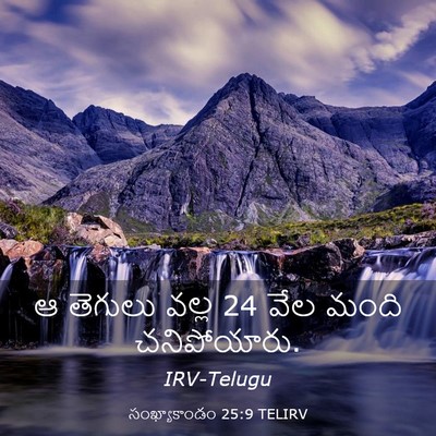 Picture 03 - సంఖ్యాకాండం 25:9 TELIRV - ఆ తెగులు వల్ల 24 వేల - Bible Verse Picture