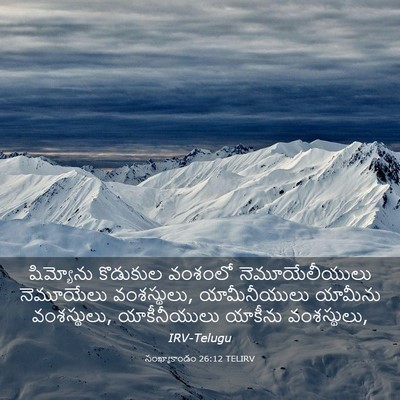 Picture 03 - సంఖ్యాకాండం 26:12 TELIRV - షిమ్యోను కొడుకుల - Bible Verse Picture