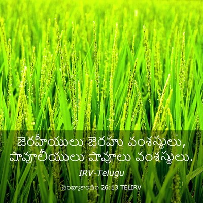Picture 03 - సంఖ్యాకాండం 26:13 TELIRV - జెరహీయులు జెరహు - Bible Verse Picture