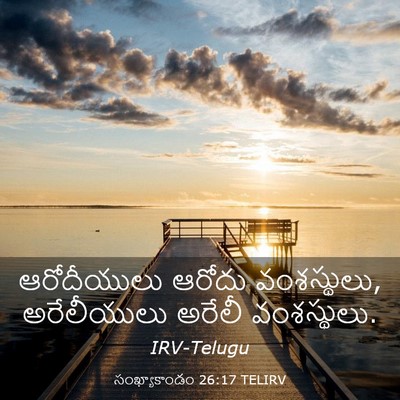 Picture 03 - సంఖ్యాకాండం 26:17 TELIRV - ఆరోదీయులు ఆరోదు - Bible Verse Picture