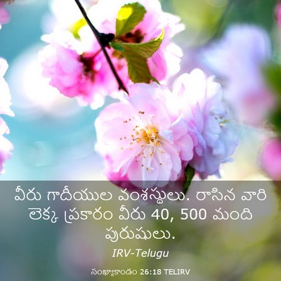 Picture 03 - సంఖ్యాకాండం 26:18 TELIRV - వీరు గాదీయుల - Bible Verse Picture
