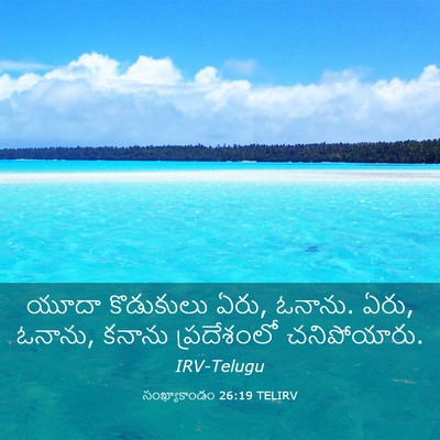 Picture 03 - సంఖ్యాకాండం 26:19 TELIRV - యూదా కొడుకులు ఏరు, - Bible Verse Picture