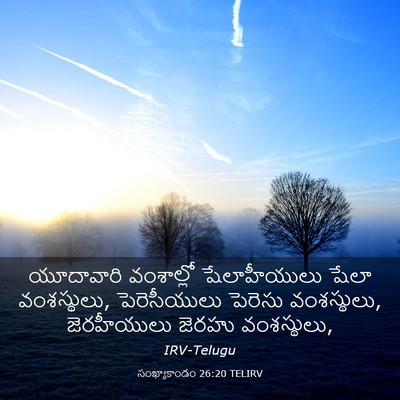 Picture 03 - సంఖ్యాకాండం 26:20 TELIRV - యూదావారి వంశాల్లో - Bible Verse Picture