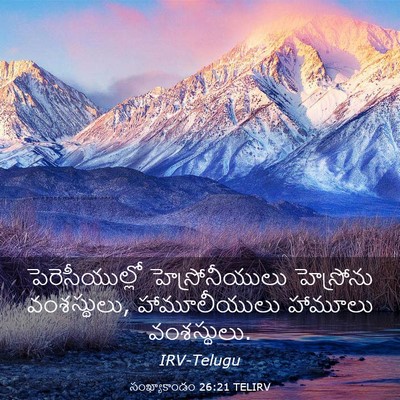 Picture 03 - సంఖ్యాకాండం 26:21 TELIRV - పెరెసీయుల్లో - Bible Verse Picture