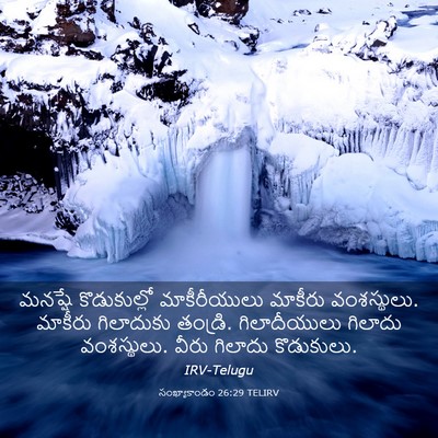 Picture 03 - సంఖ్యాకాండం 26:29 TELIRV - మనష్షే కొడుకుల్లో - Bible Verse Picture