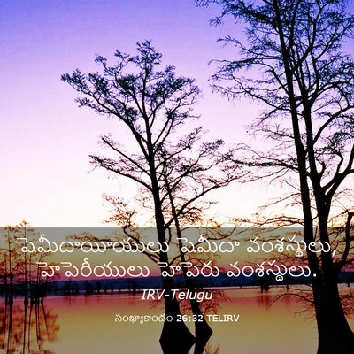 Picture 03 - సంఖ్యాకాండం 26:32 TELIRV - షెమీదాయీయులు - Bible Verse Picture
