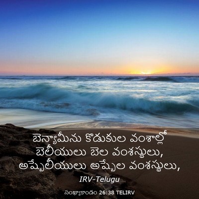 Picture 03 - సంఖ్యాకాండం 26:38 TELIRV - బెన్యామీను - Bible Verse Picture