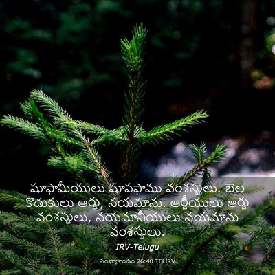 Picture 03 - సంఖ్యాకాండం 26:40 TELIRV - షూఫామీయులు - Bible Verse Picture