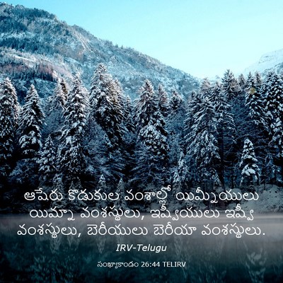 Picture 03 - సంఖ్యాకాండం 26:44 TELIRV - ఆషేరు కొడుకుల - Bible Verse Picture