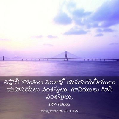 Picture 03 - సంఖ్యాకాండం 26:48 TELIRV - నఫ్తాలీ కొడుకుల - Bible Verse Picture