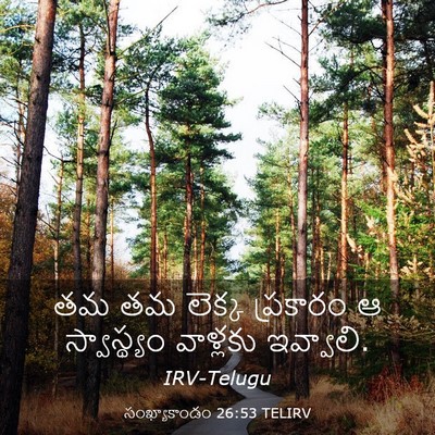 Picture 03 - సంఖ్యాకాండం 26:53 TELIRV - తమ తమ లెక్క - Bible Verse Picture