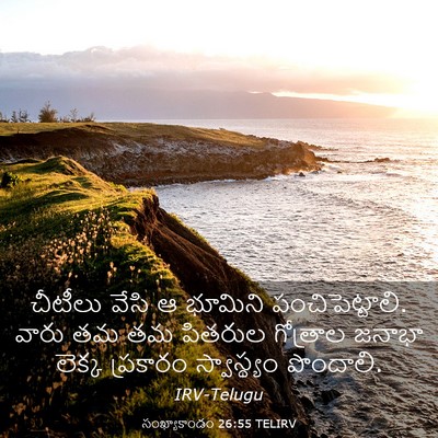 Picture 03 - సంఖ్యాకాండం 26:55 TELIRV - చీటీలు వేసి ఆ - Bible Verse Picture
