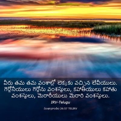 Picture 03 - సంఖ్యాకాండం 26:57 TELIRV - వీరు తమ తమ - Bible Verse Picture