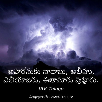 Picture 03 - సంఖ్యాకాండం 26:60 TELIRV - అహరోనుకు నాదాబు, - Bible Verse Picture