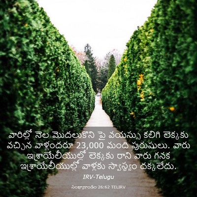 Picture 03 - సంఖ్యాకాండం 26:62 TELIRV - వారిల్లో నెల - Bible Verse Picture
