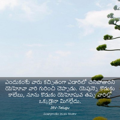 Picture 03 - సంఖ్యాకాండం 26:65 TELIRV - ఎందుకంటే వారు - Bible Verse Picture