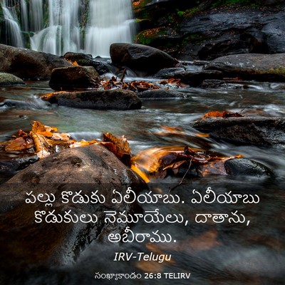 Picture 03 - సంఖ్యాకాండం 26:8 TELIRV - పల్లు కొడుకు - Bible Verse Picture