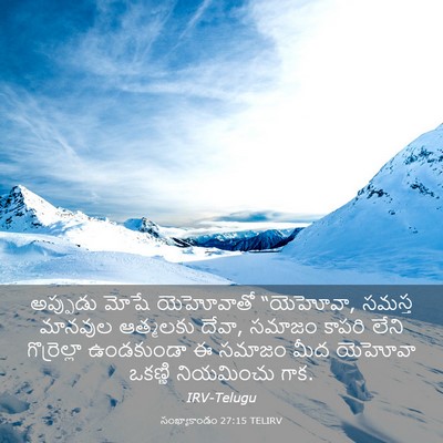 Picture 03 - సంఖ్యాకాండం 27:15 TELIRV - అప్పుడు మోషే - Bible Verse Picture